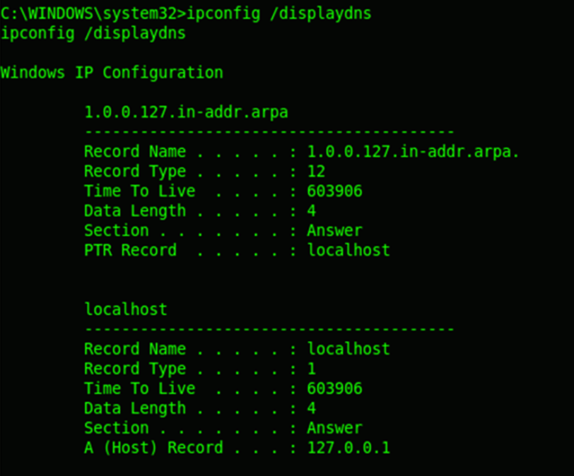 View DNS information