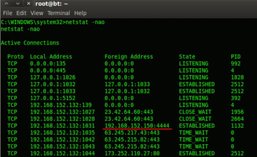 Netstat information